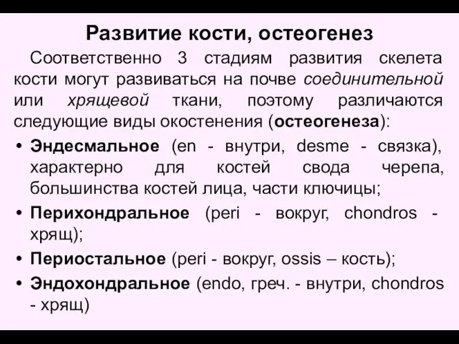 Развитие кости, остеогенез Соответственно 3 стадиям развития скелета кости могут развиваться на