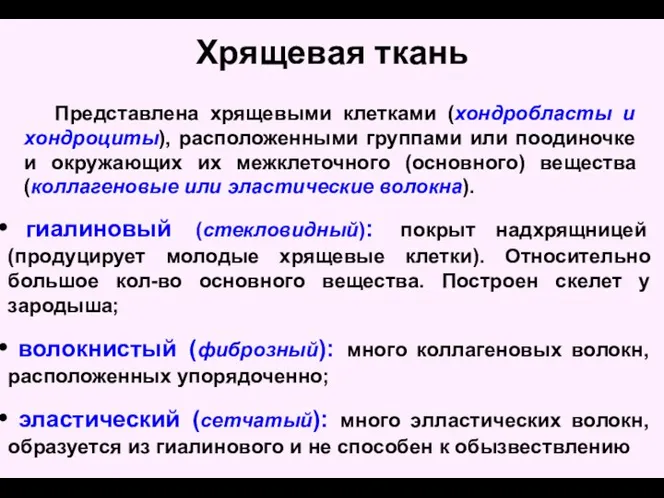 Хрящевая ткань Представлена хрящевыми клетками (хондробласты и хондроциты), расположенными группами или поодиночке