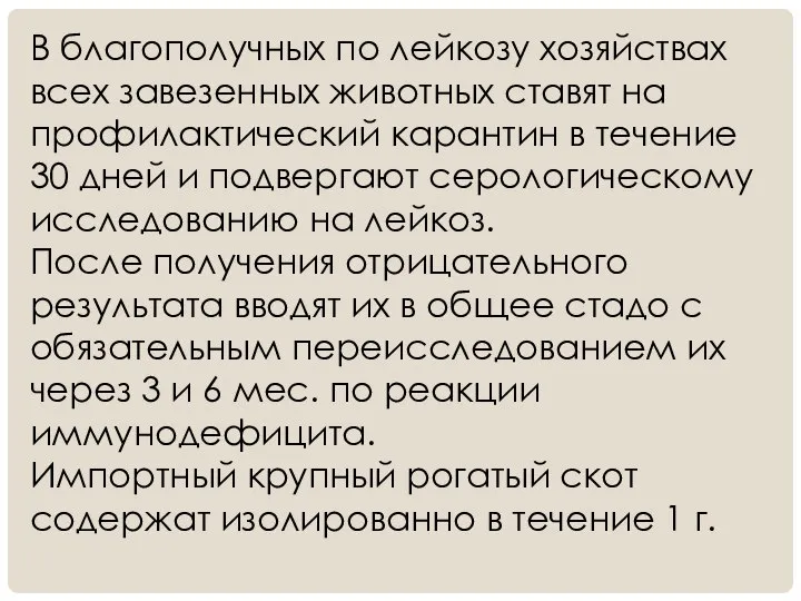 В благополучных по лейкозу хозяйствах всех завезенных животных ставят на профилактический карантин