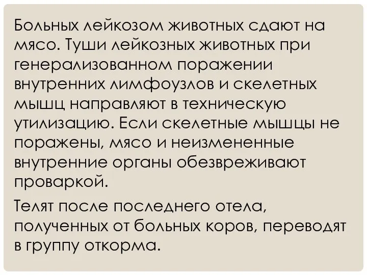 Больных лейкозом животных сдают на мясо. Туши лейкозных животных при генерализованном поражении