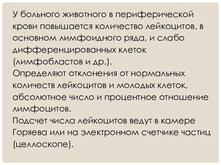 У больного животного в периферической крови повышается количество лейкоцитов, в основном лимфоидного