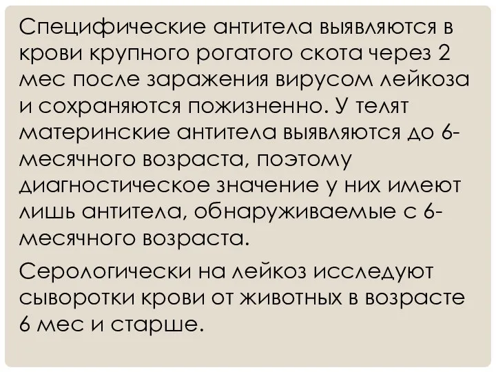 Специфические антитела выявляются в крови крупного рогатого скота через 2 мес после