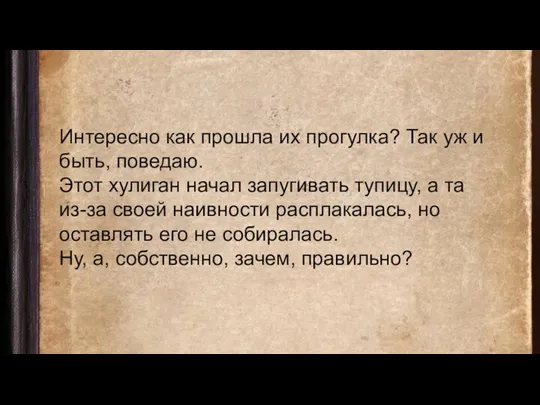 Интересно как прошла их прогулка? Так уж и быть, поведаю. Этот хулиган