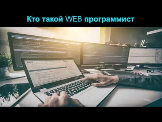 Кто такой WEB программист