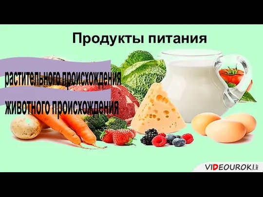 растительного происхождения животного происхождения Продукты питания