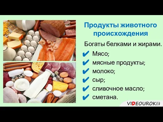 Продукты животного происхождения Богаты белками и жирами. Мясо; мясные продукты; молоко; сыр; сливочное масло; сметана.