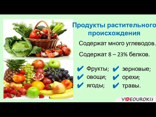 Продукты растительного происхождения Содержат много углеводов. Фрукты; овощи; ягоды; зерновые; орехи; травы.