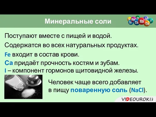 Минеральные соли Поступают вместе с пищей и водой. Содержатся во всех натуральных