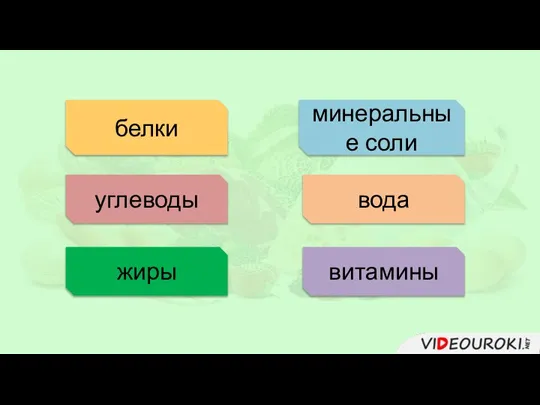 жиры белки углеводы минеральные соли вода витамины