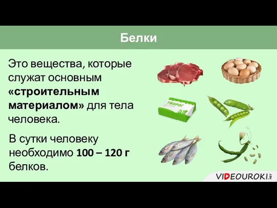 Белки Это вещества, которые служат основным «строительным материалом» для тела человека. В