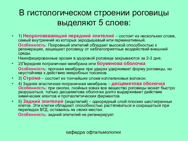 кафедра офтальмологии В гистологическом строении роговицы выделяют 5 слоев: 1) Неороговевающий передний