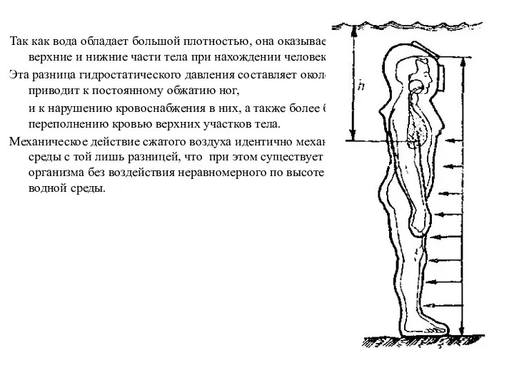 Так как вода обладает большой плотностью, она оказывает неравномерное давление на верхние