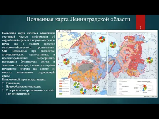 Почвенная карта Ленинградской области Почвенная карта является важнейшей составной частью информации об