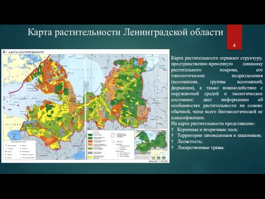 Карта растительности Ленинградской области Карта растительности отражает структуру, пространственно-временную динамику растительного покрова,