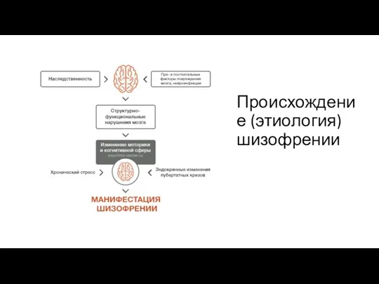 Происхождение (этиология) шизофрении