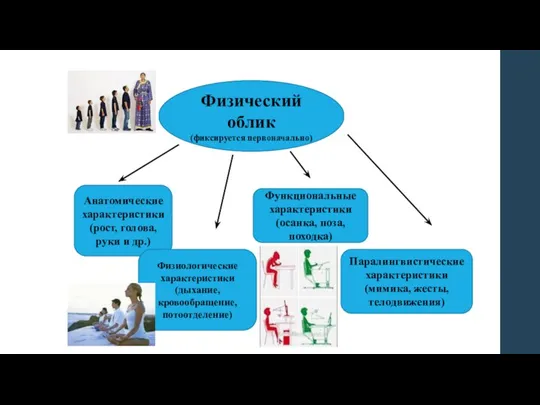 Физический облик (фиксируется первоначально) Анатомические характеристики(рост, голова, руки и др.) Физиологические характеристики