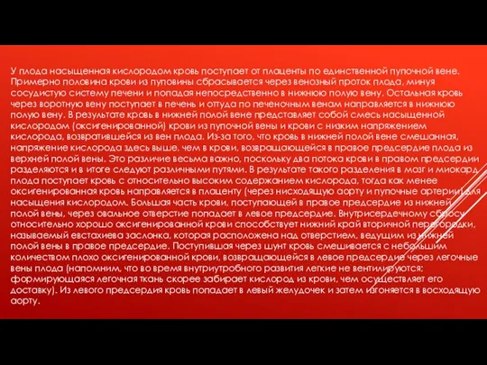 У плода насыщенная кислородом кровь поступает от плаценты по единственной пупочной вене.