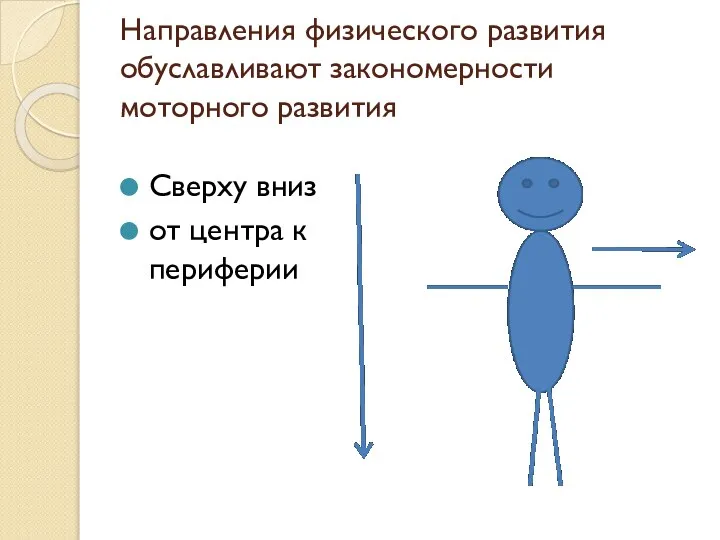 Направления физического развития обуславливают закономерности моторного развития Сверху вниз от центра к периферии