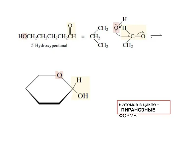 6 атомов в цикле – ПИРАНОЗНЫЕ ФОРМЫ
