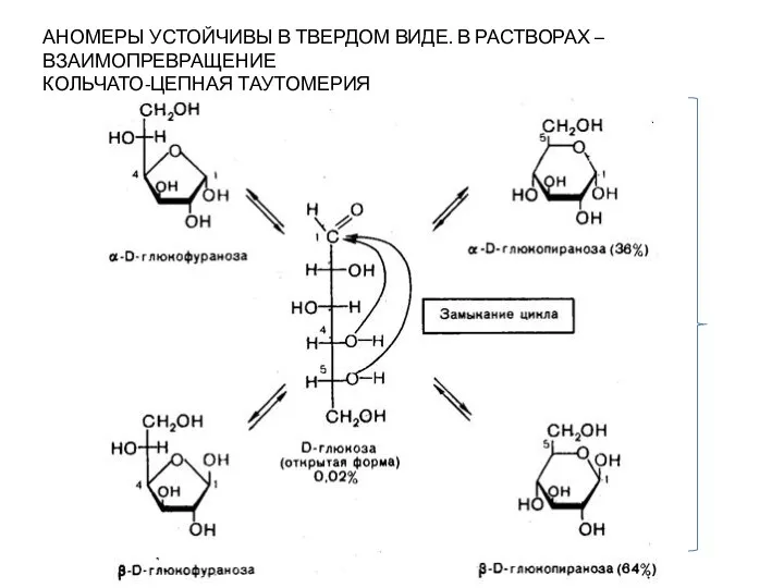 АНОМЕРЫ УСТОЙЧИВЫ В ТВЕРДОМ ВИДЕ. В РАСТВОРАХ – ВЗАИМОПРЕВРАЩЕНИЕ КОЛЬЧАТО-ЦЕПНАЯ ТАУТОМЕРИЯ