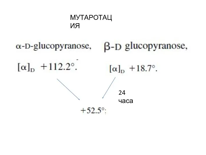 МУТАРОТАЦИЯ 24 часа