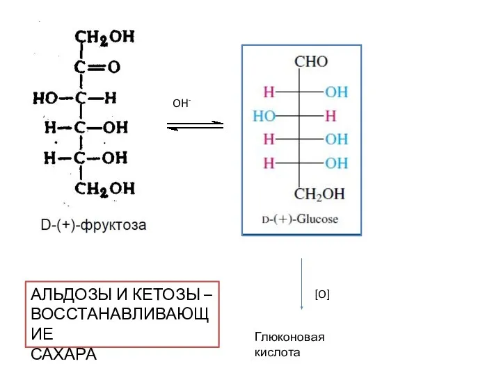 OH- [O] Глюконовая кислота АЛЬДОЗЫ И КЕТОЗЫ – ВОССТАНАВЛИВАЮЩИЕ САХАРА