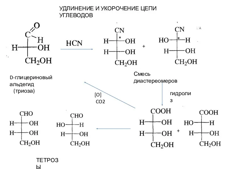 D-глицериновый альдегид (триоза) * * Смесь диастереомеров гидролиз ТЕТРОЗЫ + + +