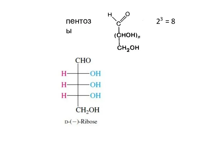 пентозы 23 = 8