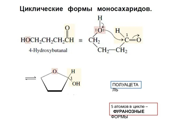 ПОЛУАЦЕТАЛЬ 1 1 5 атомов в цикле – ФУРАНОЗНЫЕ ФОРМЫ