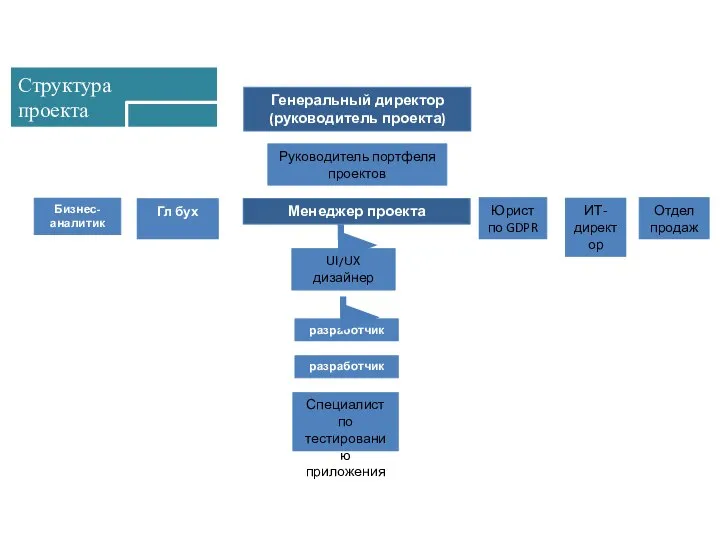 Структура проекта Генеральный директор (руководитель проекта) UI/UX дизайнер разработчик Юрист по GDPR