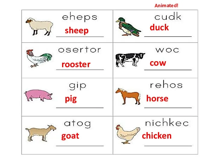 goat duck rooster cow pig horse sheep chicken Animated!