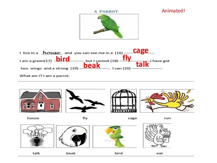 cage bird beak fly talk Animated!