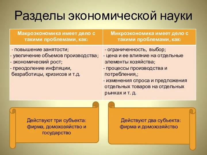 Разделы экономической науки Действуют три субъекта: фирма, домохозяйство и государство Действуют два субъекта: фирма и домохозяйство