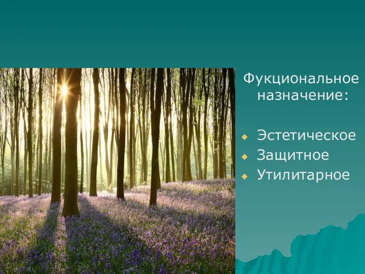 Фукциональное назначение: Эстетическое Защитное Утилитарное