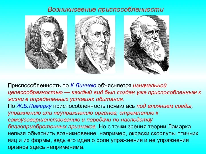 Приспособленность по К.Линнею объясняется изначальной целесообразностью — каждый вид был создан уже