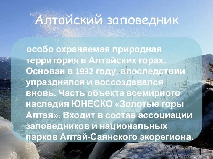 Алтайский заповедник особо охраняемая природная территория в Алтайских горах. Основан в 1932