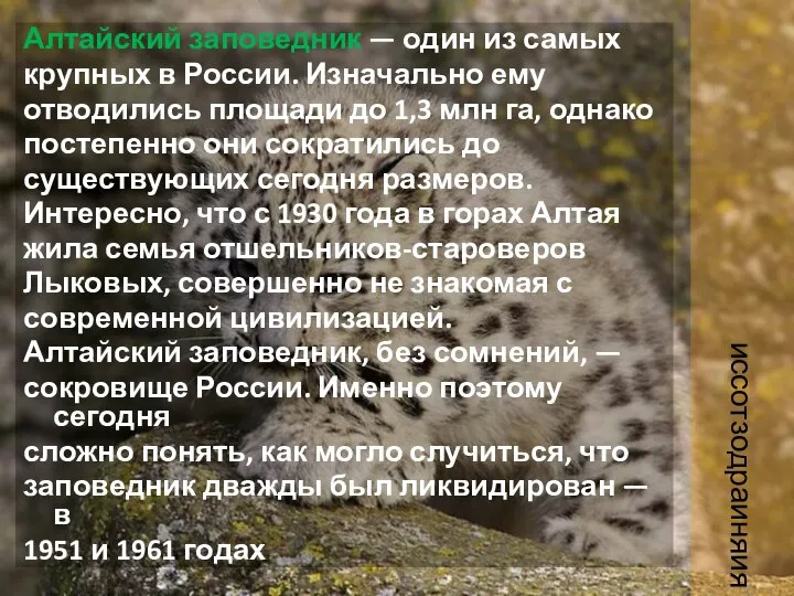 иссотзодраиняия Алтайский заповедник — один из самых крупных в России. Изначально ему