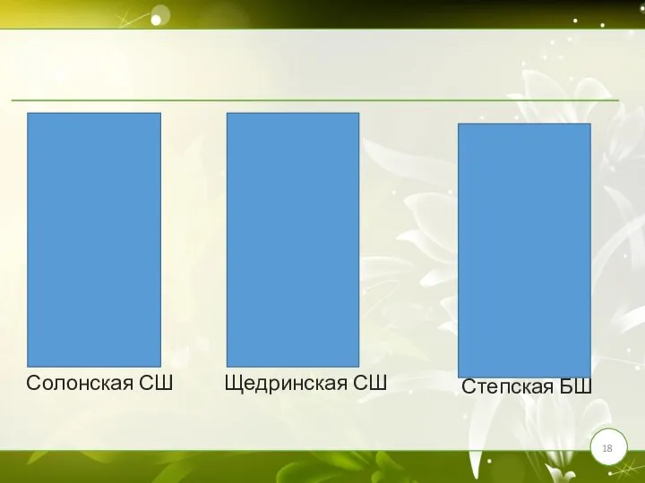 Солонская СШ Щедринская СШ Степская БШ