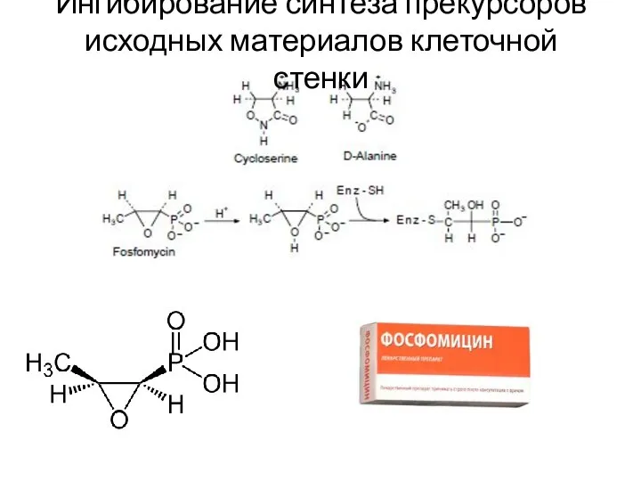 Ингибирование синтеза прекурсоров исходных материалов клеточной стенки