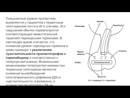 Повышенные уровни пролактина выявляются у пациентов с первичным гипотиреозом почти в 40