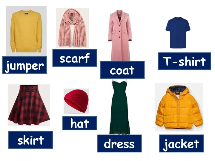 jumper scarf coat T-shirt skirt hat dress jacket