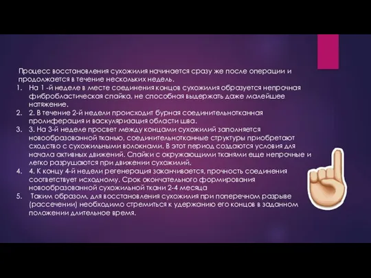 Процесс восстановления сухожилия начинается сразу же после операции и продолжается в течение