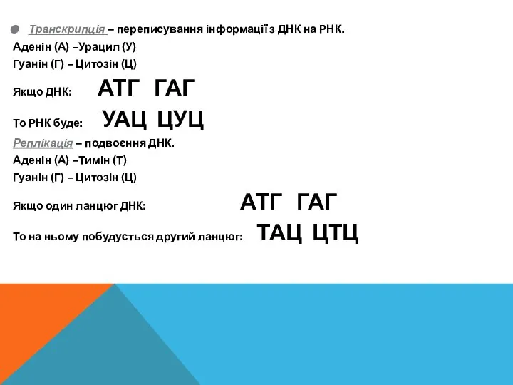 Транскрипція – переписування інформації з ДНК на РНК. Аденін (А) –Урацил (У)