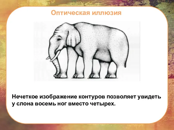 Оптическая иллюзия Нечеткое изображение контуров позволяет увидеть у слона восемь ног вместо четырех.