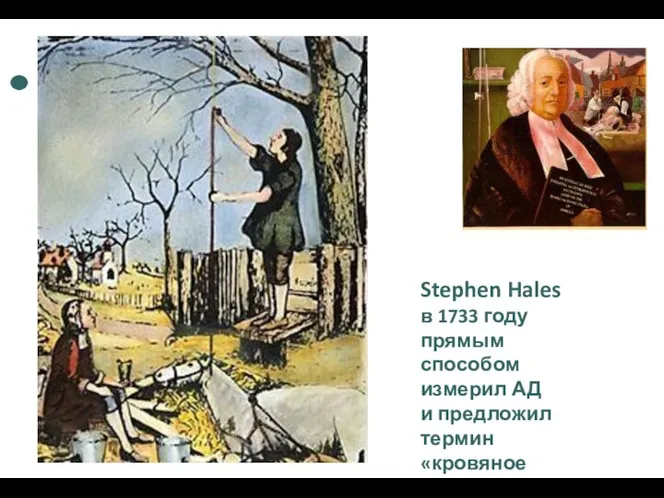 Stephen Hales в 1733 году прямым способом измерил АД и предложил термин «кровяное давление» (“blood pressure”)