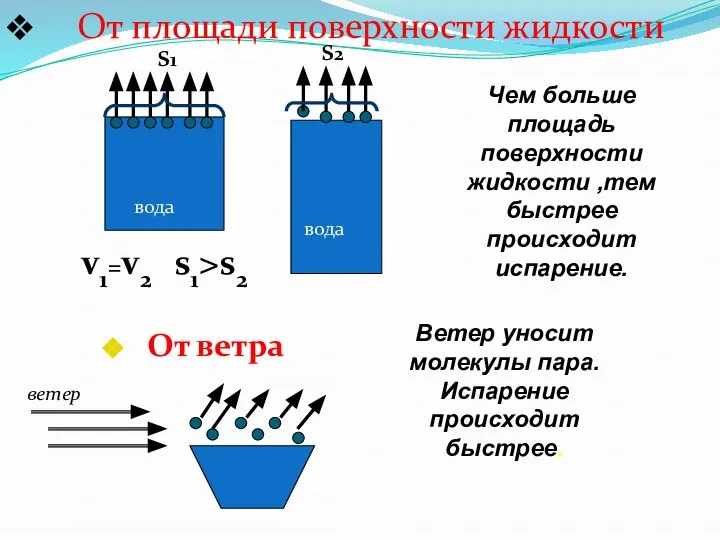 От площади поверхности жидкости вода вода v1=v2 Чем больше площадь поверхности жидкости