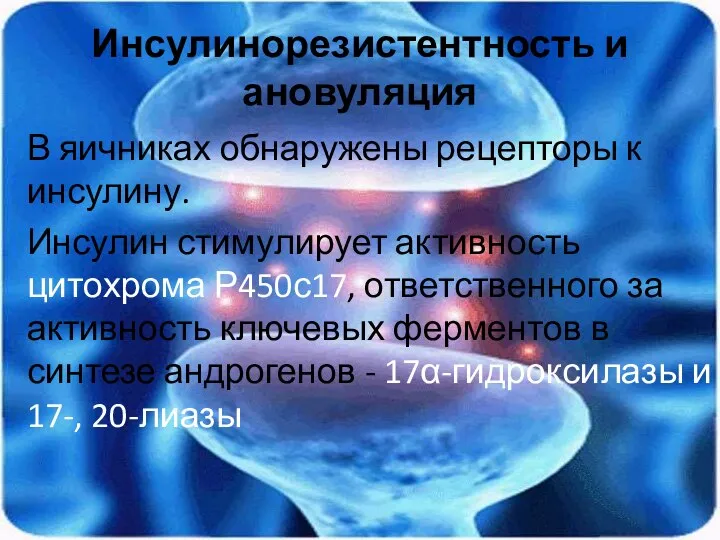 Инсулинорезистентность и ановуляция В яичниках обнаружены рецепторы к инсулину. Инсулин стимулирует активность