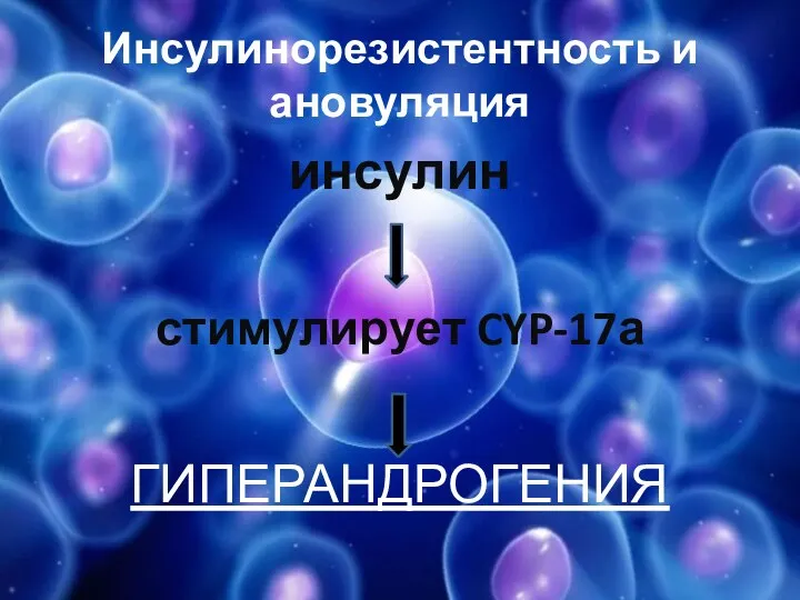 Инсулинорезистентность и ановуляция инсулин стимулирует CYP-17а ГИПЕРАНДРОГЕНИЯ