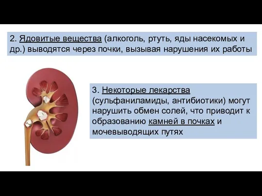 3. Некоторые лекарства (сульфаниламиды, антибиотики) могут нарушить обмен солей, что приводит к