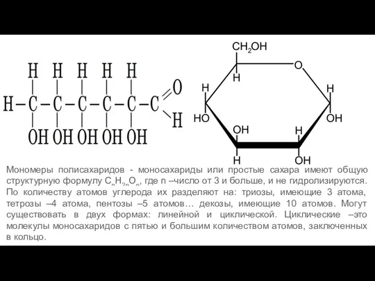 Мономеры полисахаридов - моносахариды или простые сахара имеют общую структурную формулу СnН2nОn,